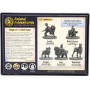 Animal Adventures: Dogs of Gullet Cove