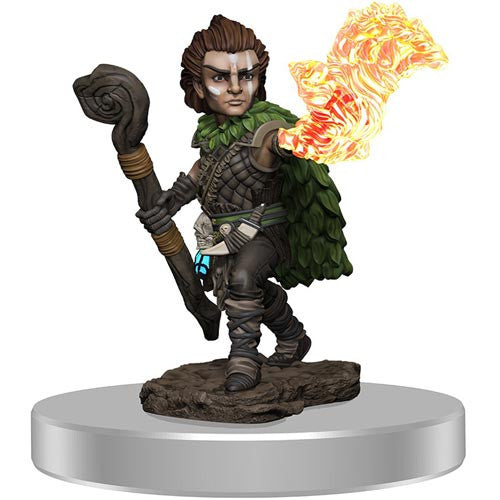 Pathfinder Battles: Premium Painted Figure: W03 Male Gnome Druid