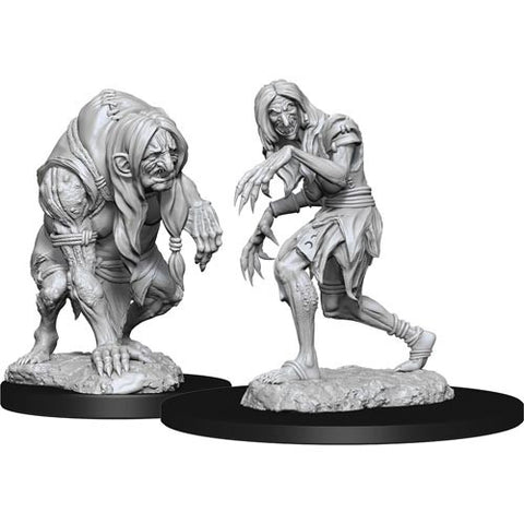Pathfinder Deep Cuts Unpainted Miniatures: W14 Annis Hag & Green Hag