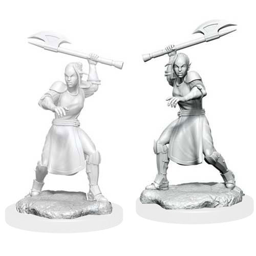 Critical Role Unpainted Miniatures: W01 Half-Elf Echo Knight & Echo