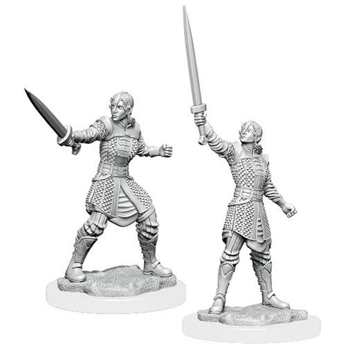 Critical Role Unpainted Miniatures: W01 Human Dwendalian Empire Fighter